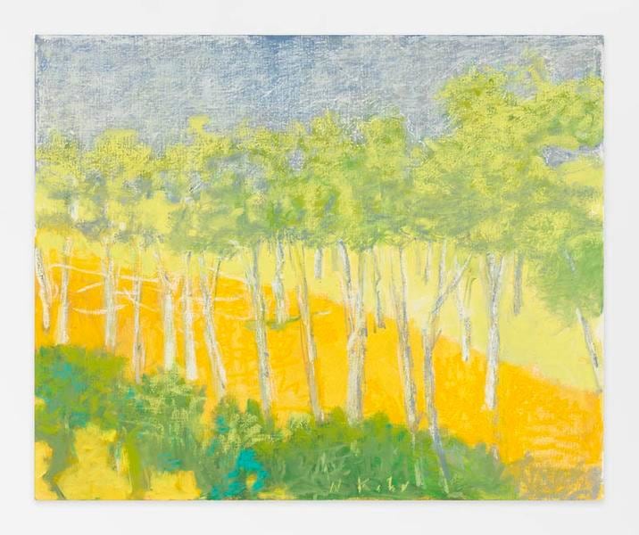 Yellow, Orange, Green, and Gray, 2014, Oil on canvas, 36 x 44 inches, 91.4 x 111.8 cm, AMY#21460