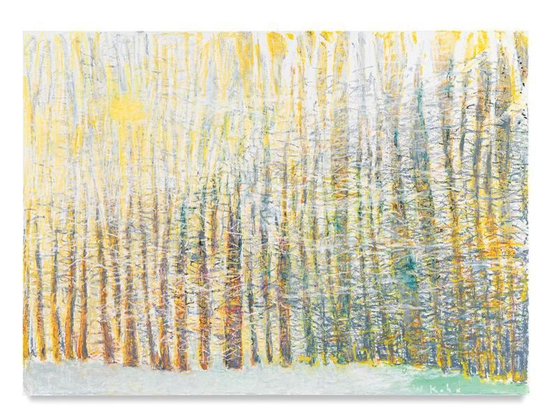 Dense and Transparent, 2016, Oil on canvas, 52 x 72 inches, 132.1 x 182.9 cm, AMY#28622