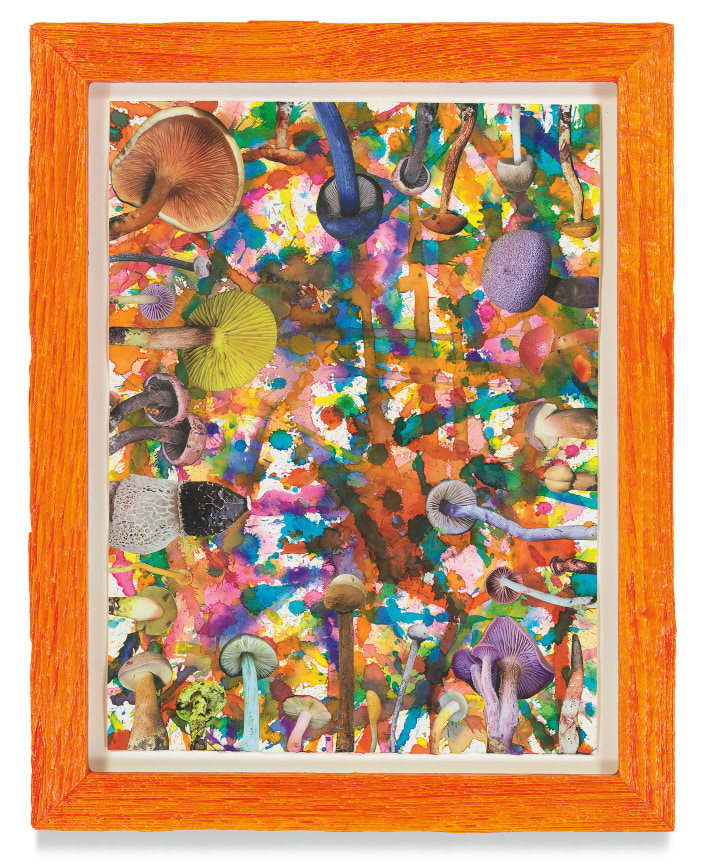 Untitled (SHRooMS), 2021, Watercolor and collage on paper with artist frame (reclaimed wood), 14 5/8 x 11 3/4 inches, 37.1 x 29.8 cm, MMG#33188