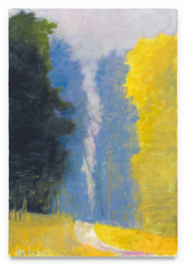 Vermont Wood Road, 2007, Oil on canvas, 32 x 22 inches, 81.3 x 55.9 cm, MMG#37953