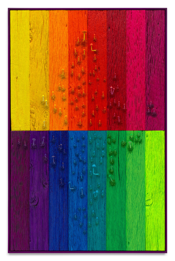 Untitled (Tree Painting-Full Spectrum with Mushrooms), 2022, Acrylic stain on reclaimed wood with printed mushrooms and artists frame, 72 x 48 inches, 182.9 x 121.9 cm, MMG#36050