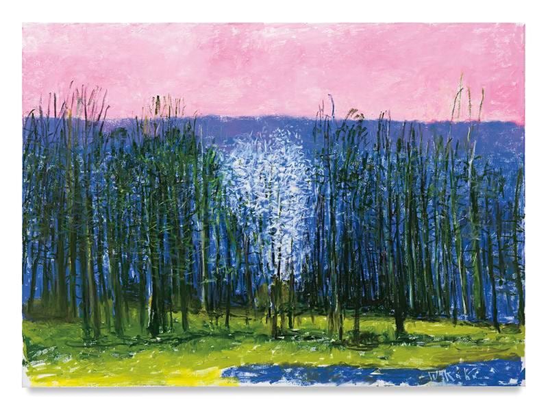 Early Blooming Fruit Tree, 2016, Oil on canvas, 52 x 72 inches, 132.1 x 182.9 cm, AMY#28772