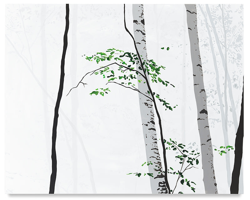 The Environmental Screen, 2017,&nbsp;Acrylic on canvas,&nbsp;48 x 60 inches,&nbsp;121.9 x 152.4 cm,&nbsp;MMG#29532