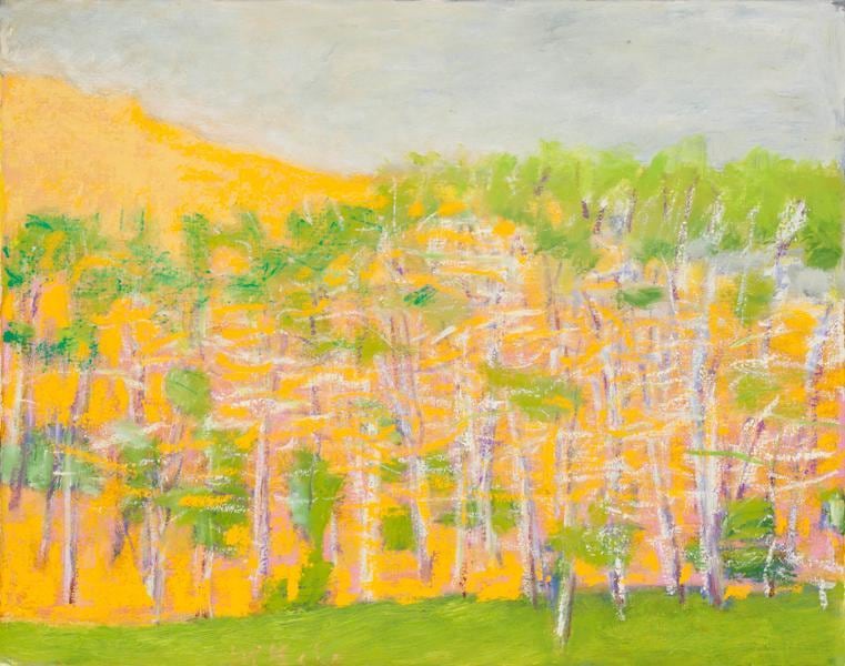 &quot;Green Grass, Gray Sky,&quot; 2012, Oil on canvas, 22 x 28 inches, 55.9 x 71.1 cm, A/Y#20384
