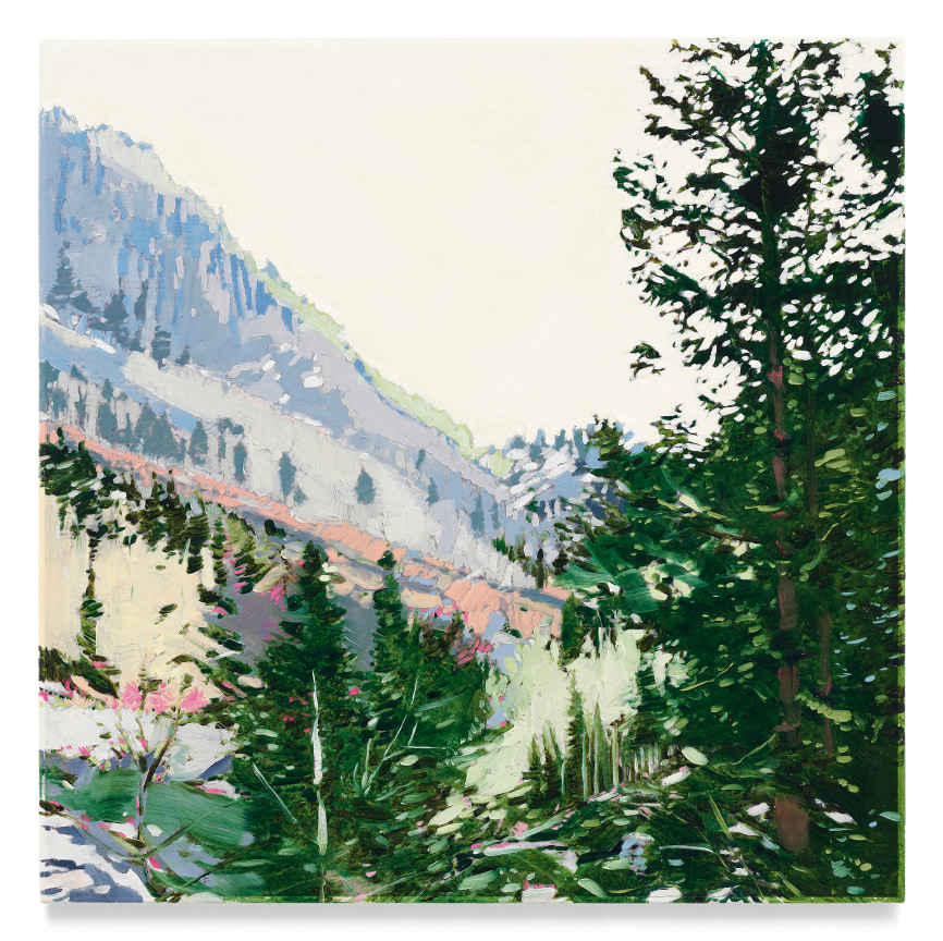 Mountain Forest, 2022, Mixed media oil on canvas, 17 x 17 inches, 43.2 x 43.2 cm, MMG#34085