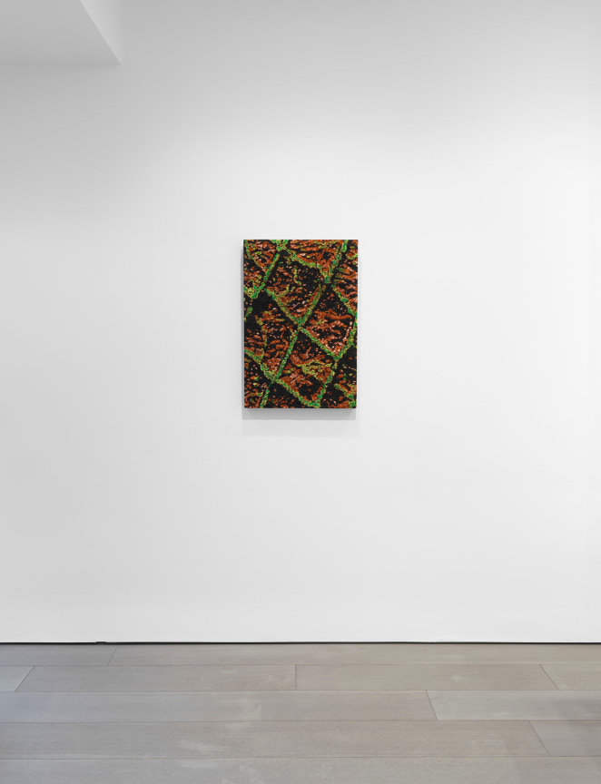 New York, NY: Miles McEnery Gallery, &ldquo;Douglas Melini: Under Your Skin and Over the Moon,&rdquo; 8 May - 21 June 2025.