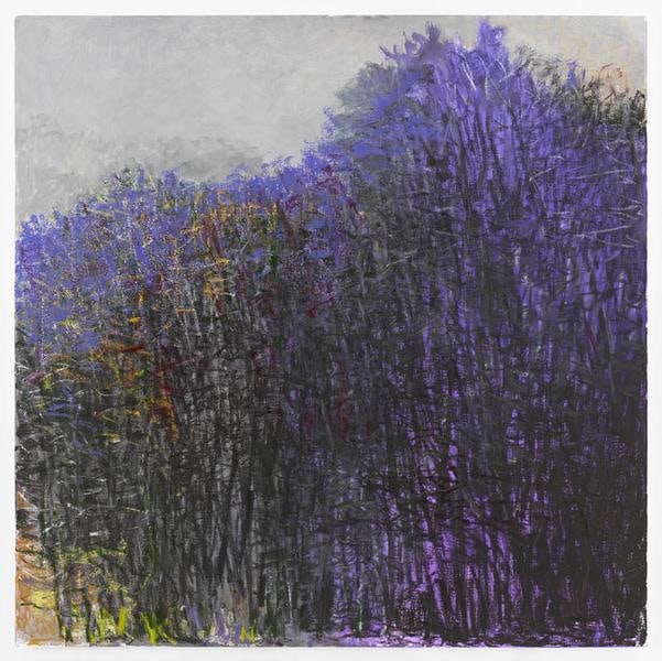 Half Hidden Violet, 2015, Oil on canvas, 52 x 52 inches, 132.1 x 132.1 cm, AMY#22735