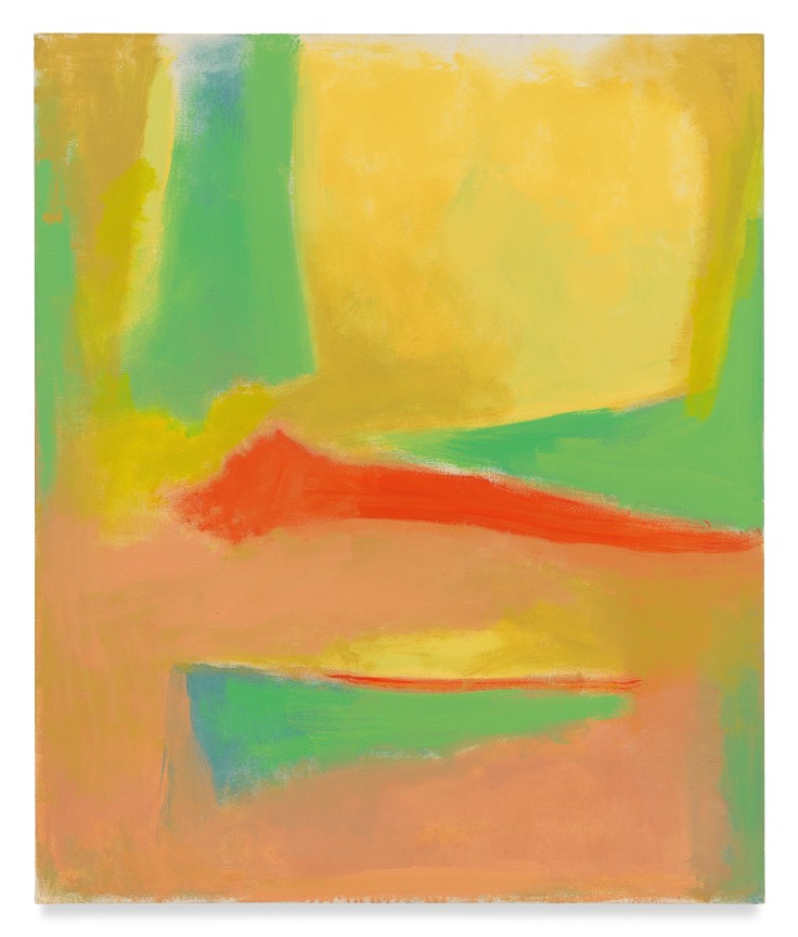 Untitled, 1996, Oil on canvas, 50 x 42 inches, 127 x 106.7 cm, MMG#6597