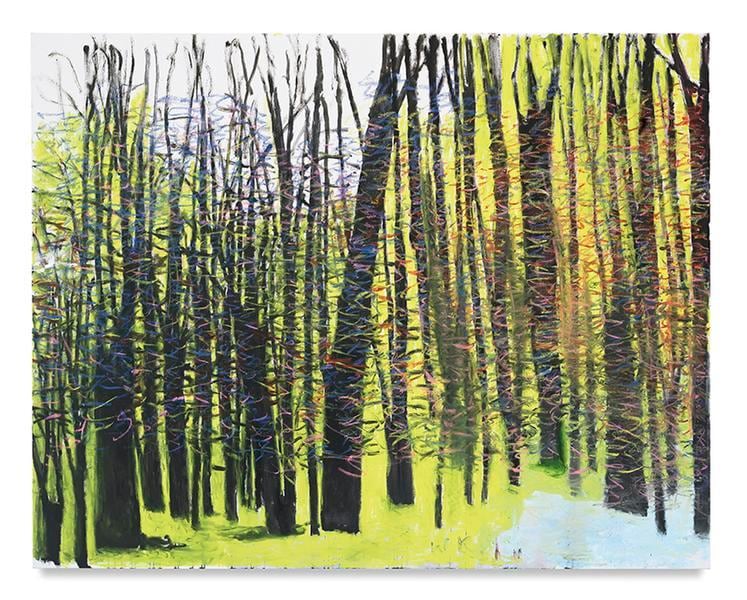 The Interior Light of the Forest, 2017, Oil on canvas, 52 x 66 inches, 132.1 x 167.6 cm, AMY#29027