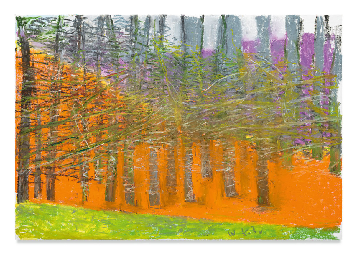 Rising on the Left, 2018, Oil on canvas, 36 x 52 inches, 91.4 x 132.1 cm, MMG#30690