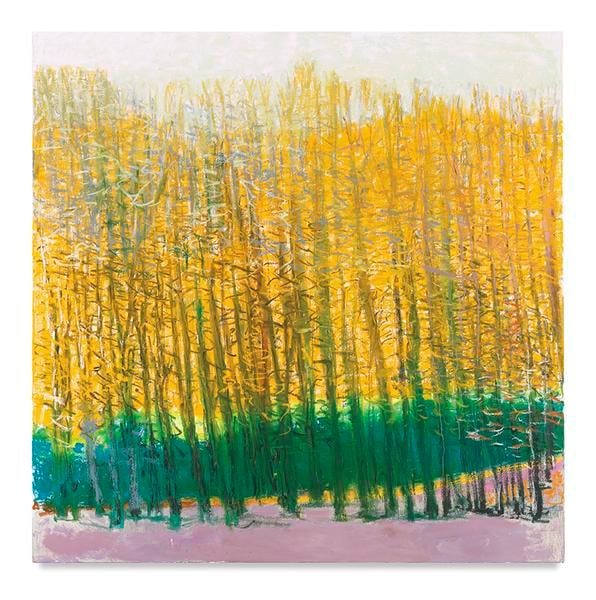 Green in Back, 2017, Oil on canvas, 52 x 52 inches, 132.1 x 132.1 cm, AMY#28809