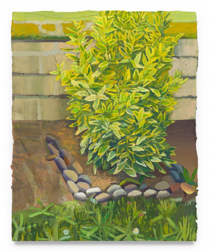 Euonymus Japonicus Bravo, 2025, Oil on canvas, 36 1/2 x 29 3/4 inches. 92.7 x 75.6 cm, MMG#37656