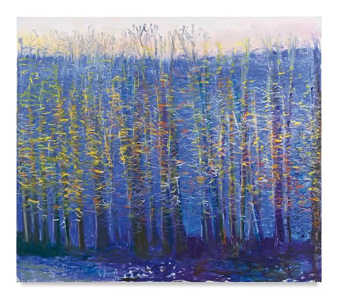 Provence Blue, 2017, Oil on canvas, 52 x 60 inches, 132.1 x 152.4 cm, AMY#28940