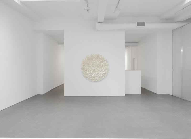 ROSANA CASTRILLO DIAZ