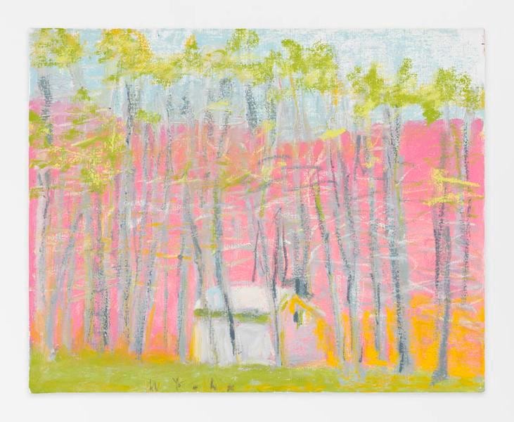 Rose Toward Orange, 2013, Oil on canvas, 20 x 25 inches, 50.8 x 63.5 cm, AMY#21295