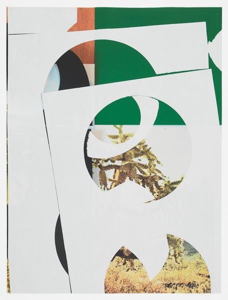 Untitled Composite, 2016, Oil and UV cured ink on paper, 34 x 25 1/2 inches, 86.4 x 64.8 cm, AMY#28533