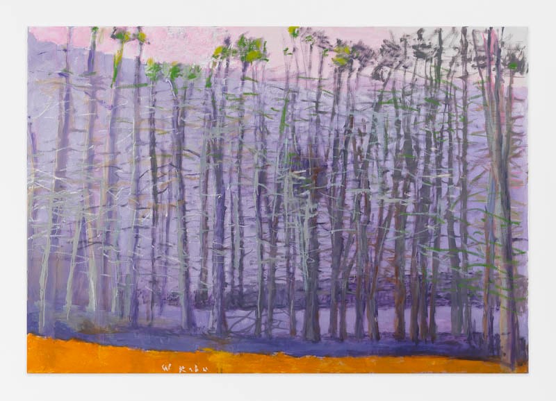 Large Burl, 2015, Oil on canvas, 36 x 52 inches, 91.4 x 132.1 cm, AMY#22740