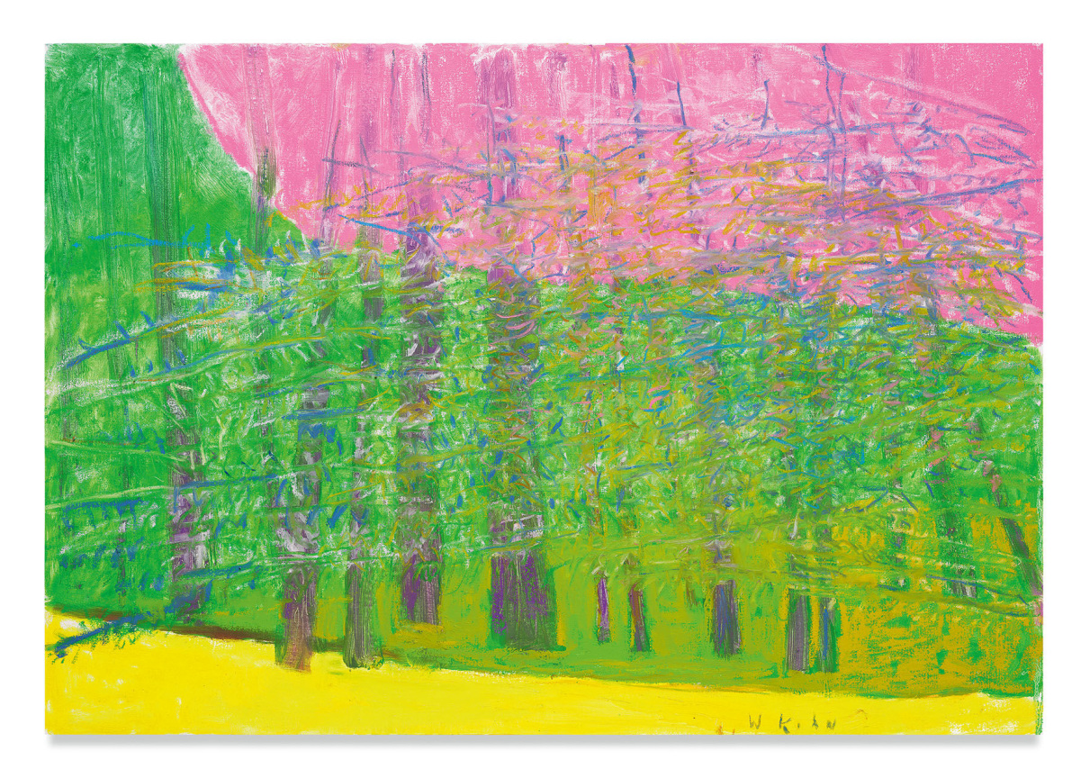 Pink Sky, 2018, Oil on canvas, 36 x 52 inches, 91.4 x 132.1 cm, MMG#30742