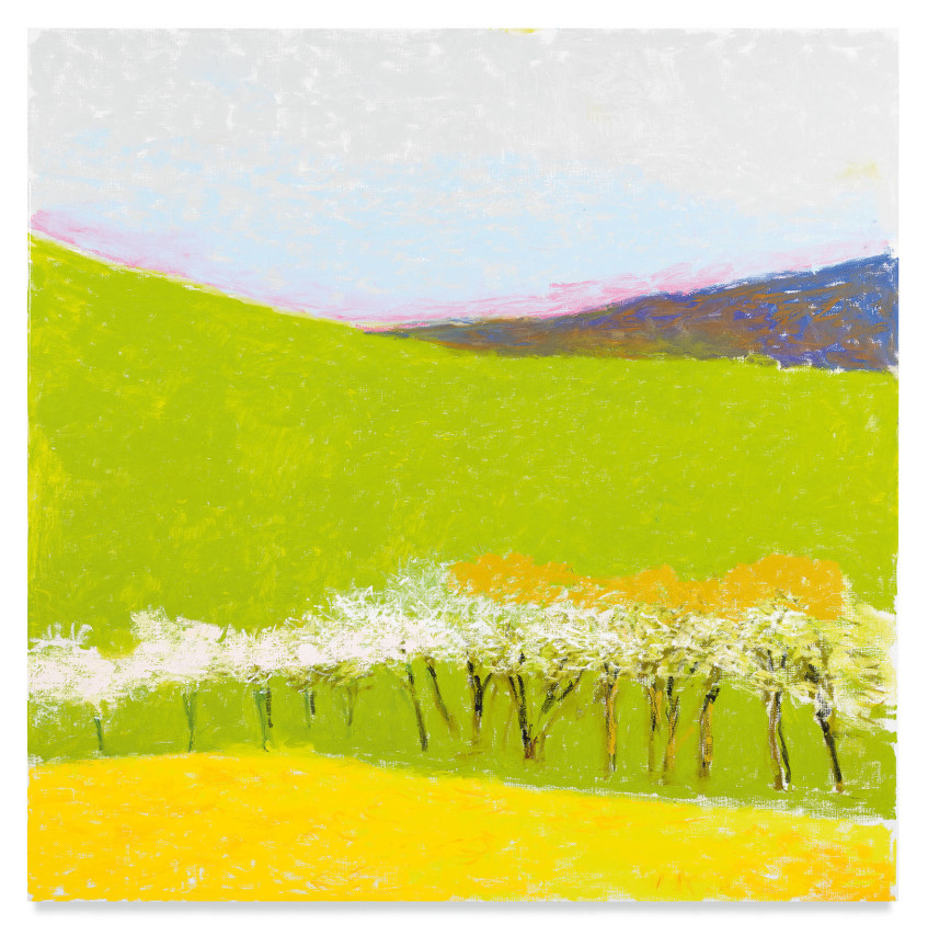 Spring Flowering Fruit Trees, 2020, Oil on canvas, 52 x 52 inches, 132.1 x 132.1 cm, MMG#32520