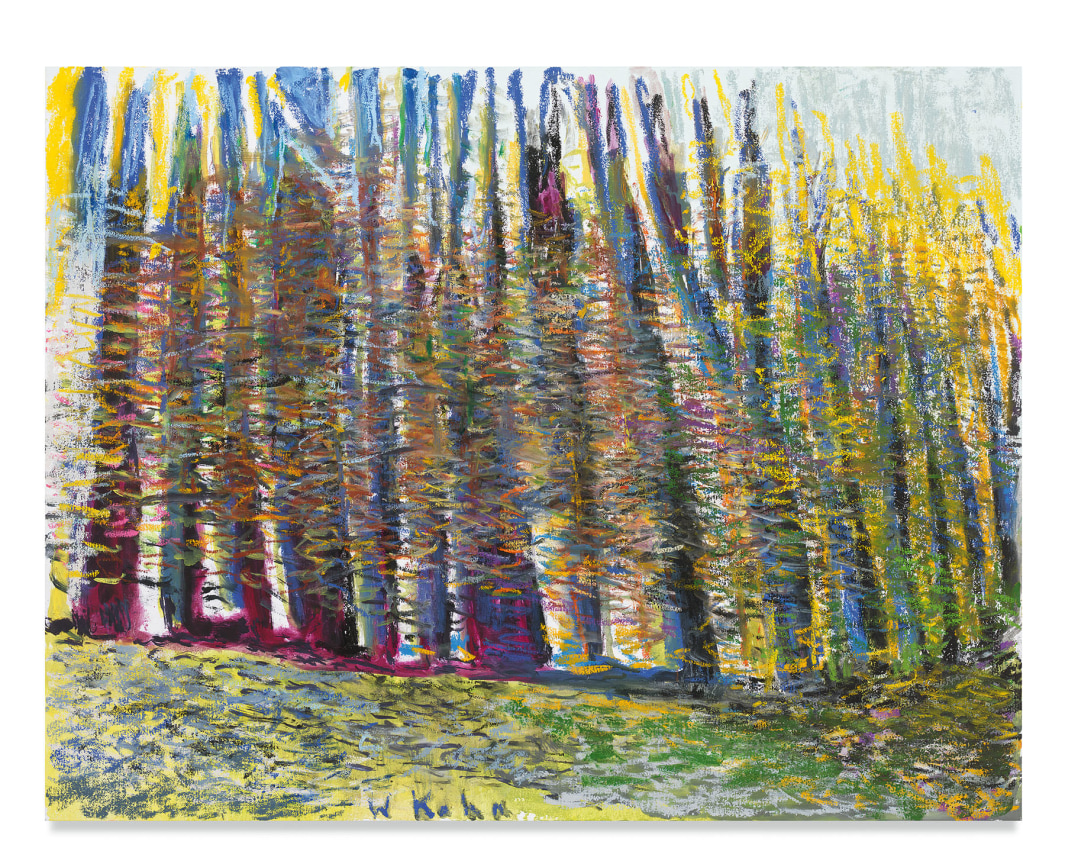 Transparent Woods, 2018, Oil on canvas, 40 x 52 inches, 76.2 x 101.6 cm, MMG#30592