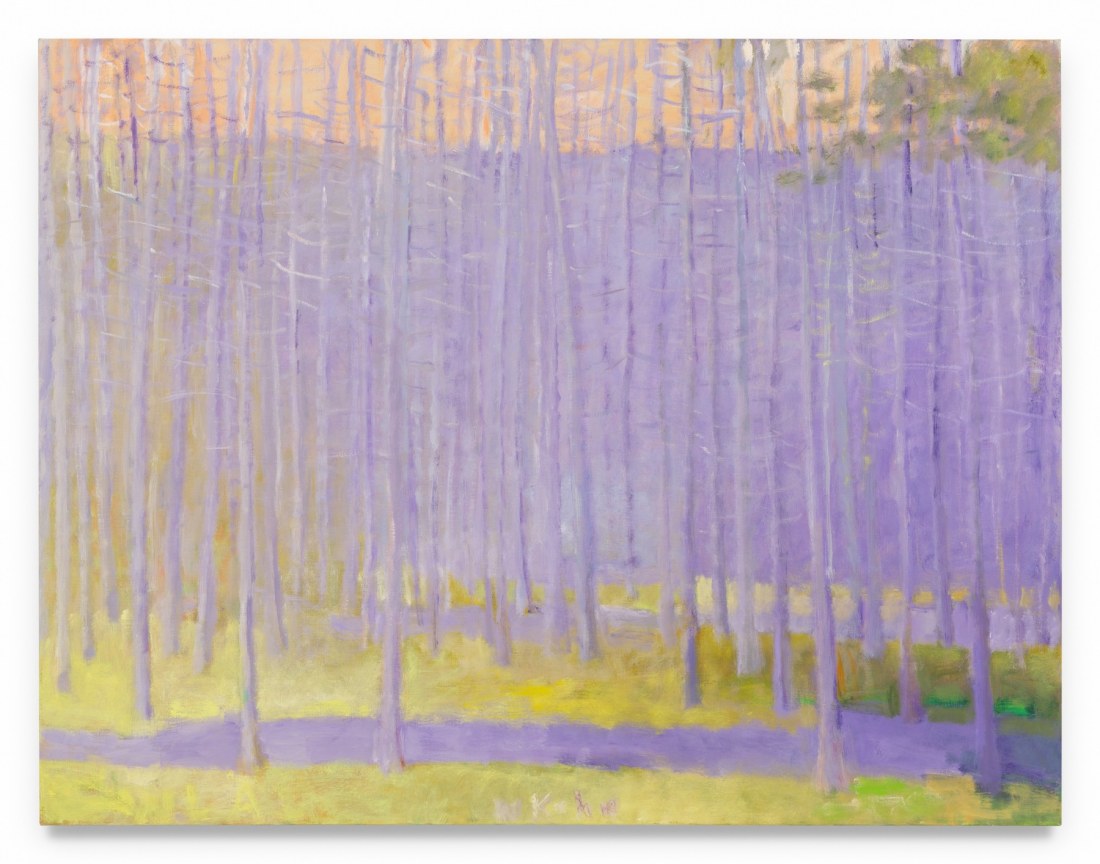 Thicket II, 1996, Oil on canvas, 40 x 52 inches, 101.6 x 132.1 cm, MMG#31283
