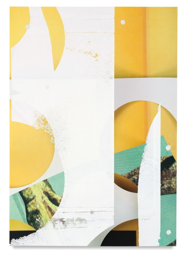 Kevin Appel, Untitled Composite, 2017, Oil and UV cured ink on paper