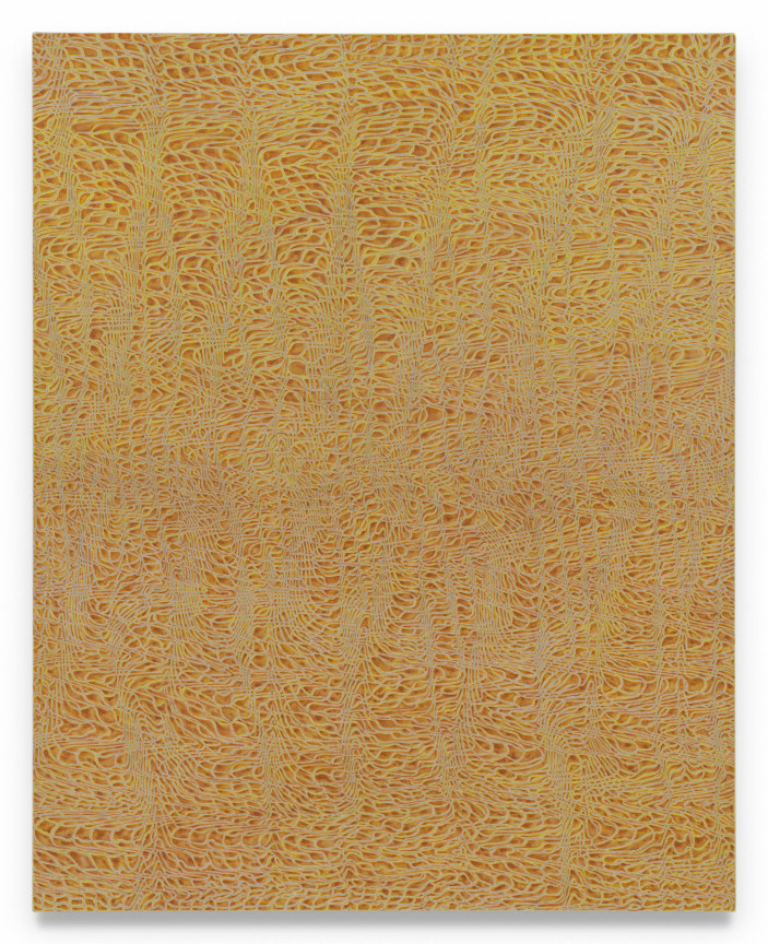 Phenotasp, 2024, Acrylic and graphite on linen, 60 x 48 inches, 152.4 x 121.9 cm, MMG#37234