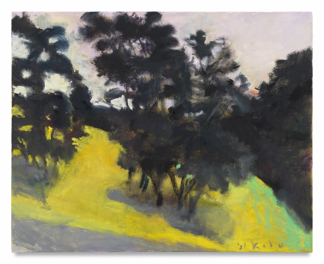 Back Meadow, 2008, Oil on canvas, 24 x 30 inches, 61 x 76.2 cm, MMG#37944
