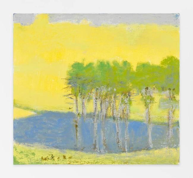 In a Yellow Tone, 2014, Oil on canvas, 20 x 22 inches, 50.8 x 55.9 cm, AMY#21659