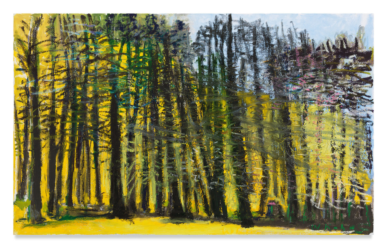 Black Against Yellow, 2018 Oil on canvas, 26 x 42 inches, 66 x 106.7 cm, MMG#30582