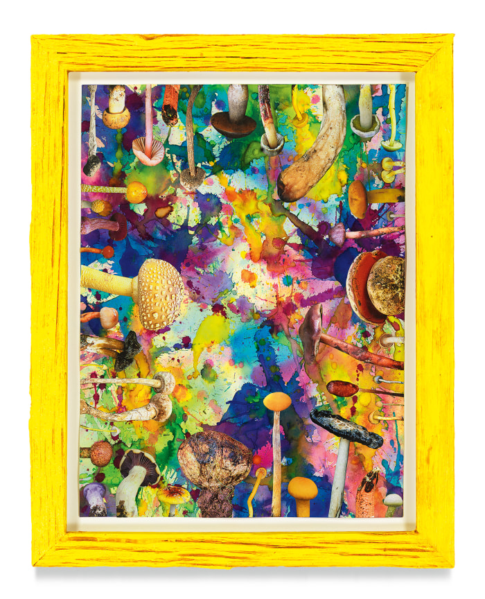 Untitled (SHRooMS), 2021, Watercolor and collage on paper with artist frame (reclaimed wood), 14 5/8 x 11 3/4 inches, 37.1 x 29.8 cm, MMG#33181