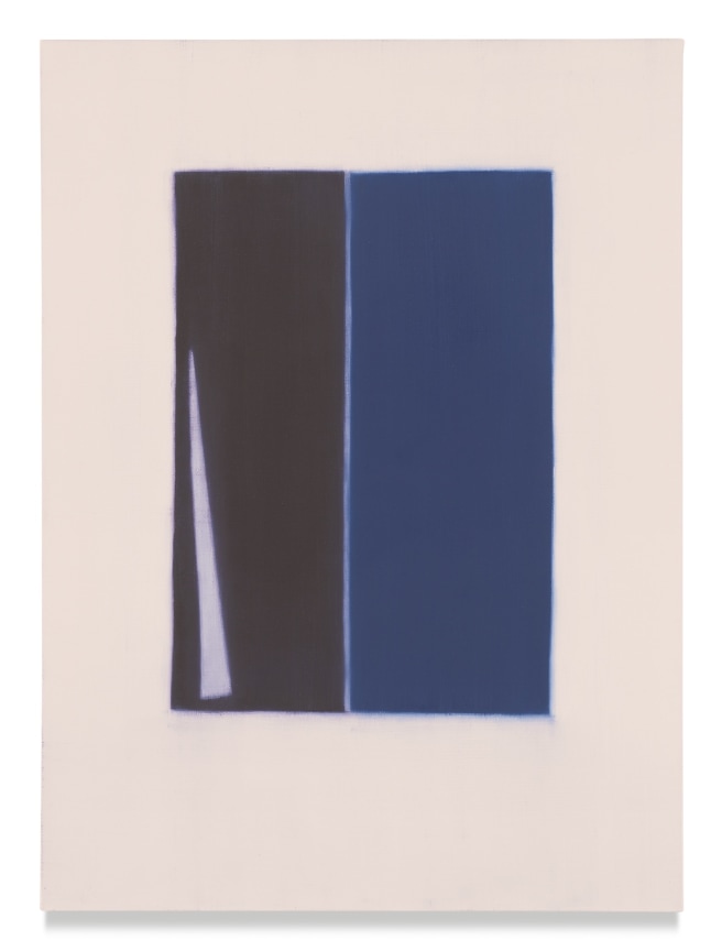 738 (book), 2018,&nbsp;Oil on linen,&nbsp;30 x 22 inches,&nbsp;76.2 x 55.9 cm,&nbsp;MMG#30979