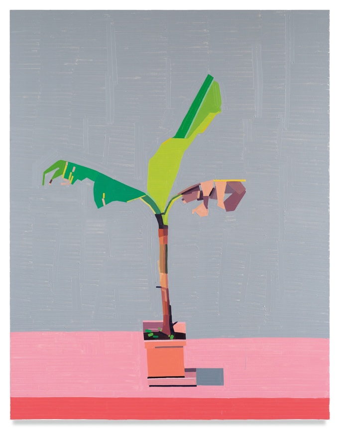 Guy Yanai, Lisbon Plant, 2019