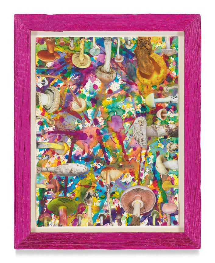 Untitled (SHRooMS), 2021, Watercolor and collage on paper with artist frame (reclaimed wood), 14 5/8 x 11 3/4 inches, 37.1 x 29.8 cm, MMG#33186