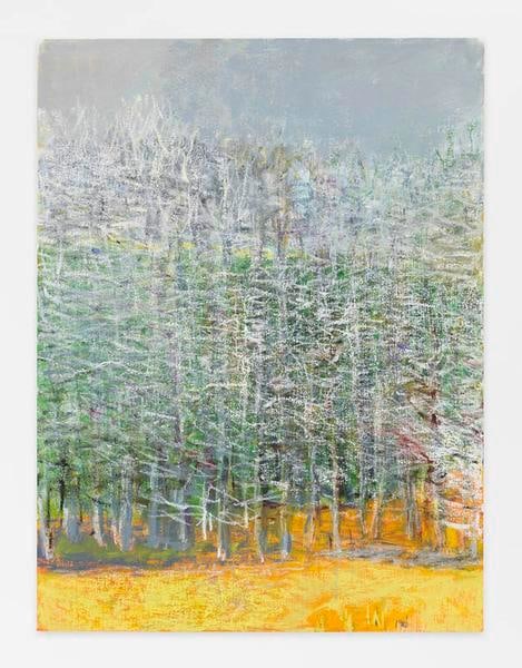 Tangle Against a Gray Sky, 2015, Oil on canvas, 40 x 30 inches, 101.6 x 76.2 cm, AMY#22568