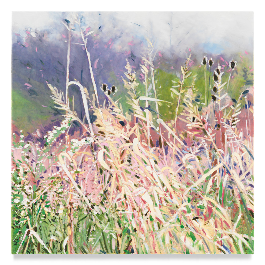 Field Flowers, 2022, Mixed media oil on canvas, 17 x 17 inches, 43.2 x 43.2 cm, MMG#34092