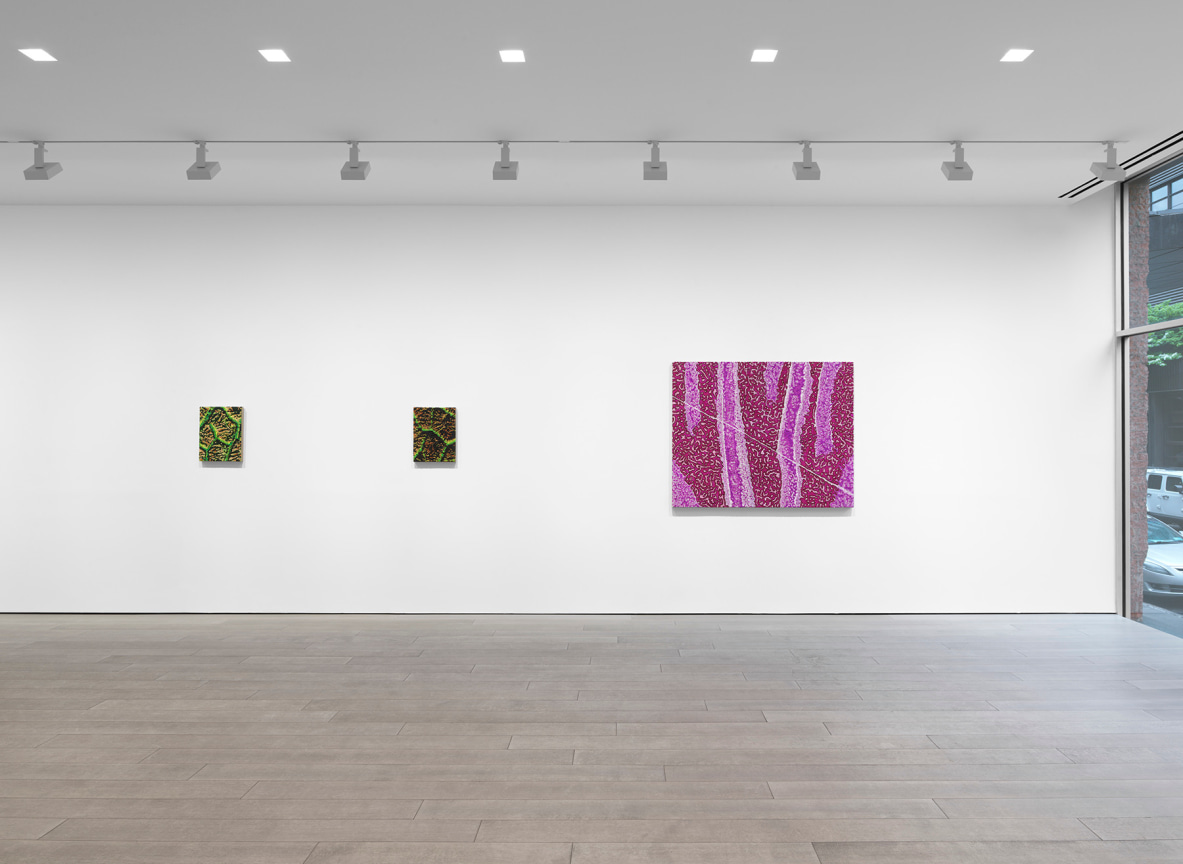 New York, NY: Miles McEnery Gallery, &ldquo;Douglas Melini: Under Your Skin and Over the Moon,&rdquo; 8 May - 21 June 2025.