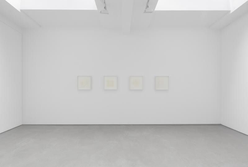 ROSANA CASTRILLO DIAZ