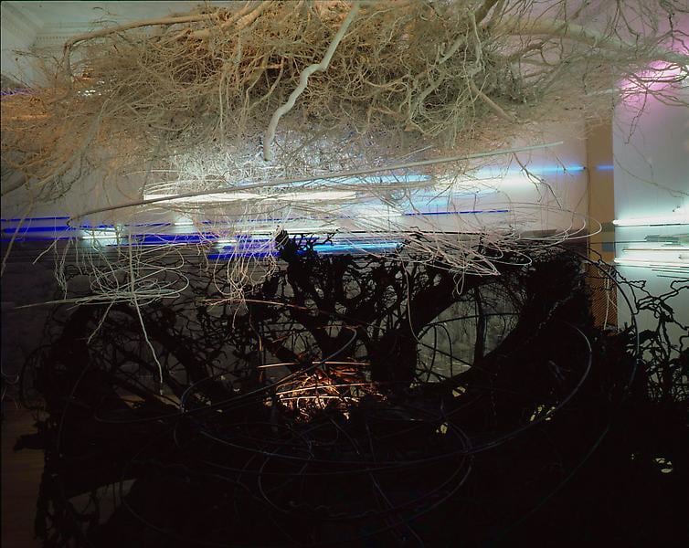 Buckets of Rain,&nbsp;2006, Installation at Ameringer | McEnery | Yohe