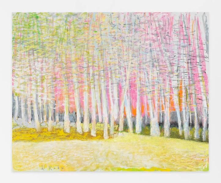 From Yellow through Pink to Green, 2014, Oil on canvas, 42 x 52 inches, 106.7 x 132.1 cm, A/Y#22244