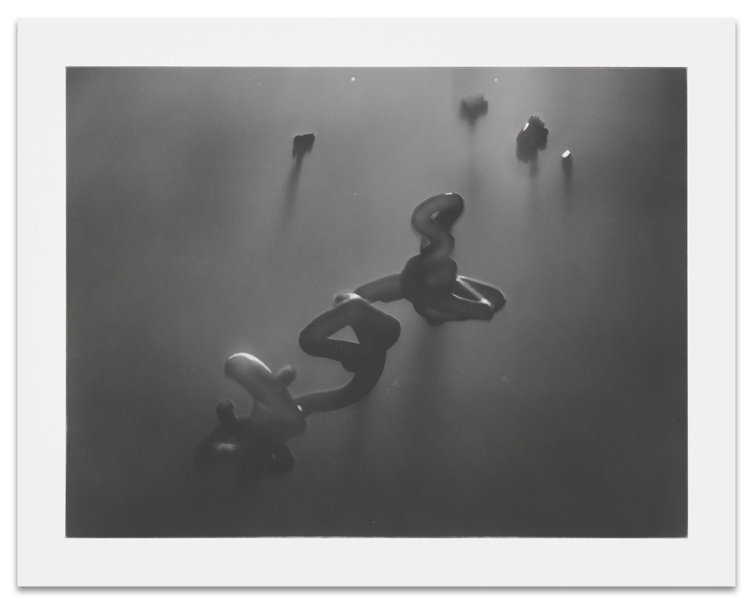 Interior Surveillance, 2018,&nbsp;Graphite on paper,&nbsp;11 x 14 inches,&nbsp;27.9 x 35.6 cm,&nbsp;MMG#30138