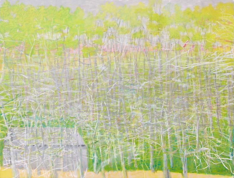 Green, Gray &amp;amp; White, 2009, Oil on canvas, 64 x 84 inches, 162.6 x 213.4 cm, A/Y#18749