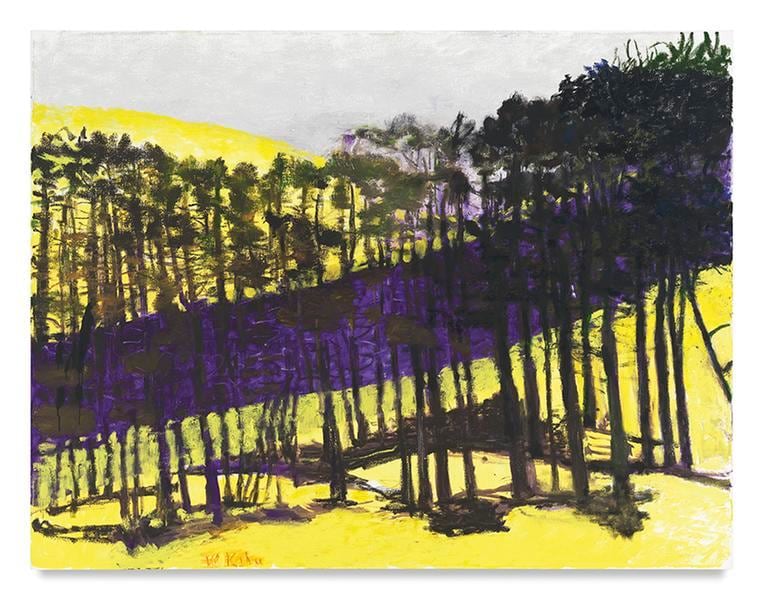 Slope, 2015, Oil on canvas, 52 x 68 inches, 132.1 x 172.7 cm, AMY#28050