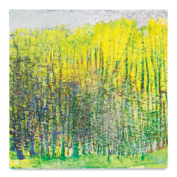 Blue to Yellow Through Green, 2016, Oil on canvas, 52 x 52 inches, 132.1 x 132.1 cm, AMY#28183