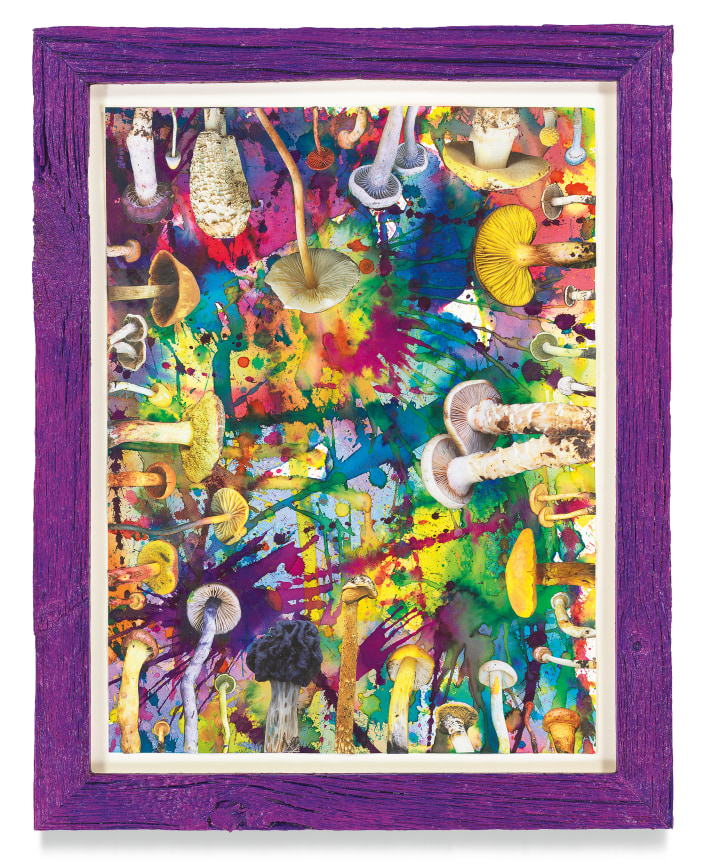 Untitled (SHRooMS), 2021, Watercolor and collage on paper with artist frame (reclaimed wood), 14 5/8 x 11 3/4 inches, 37.1 x 29.8 cm, MMG#33179