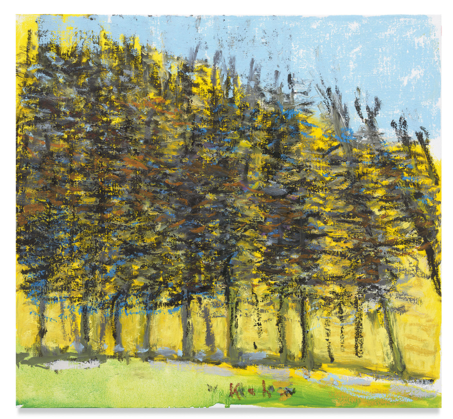 Pine Row, 2018, Oil on canvas, 22 x 24 inches, 55.9 x 61 cm, MMG#30589