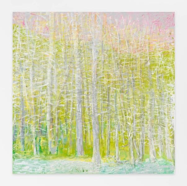 Yellow Haze, 2014, Oil on canvas, 52 x 52 inches, 132.1 x 132.1 cm, AMY#22142