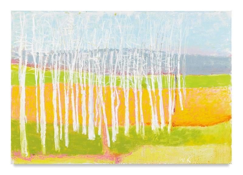 Empty on the Right, 2015, Oil on canvas, 36 x 52 inches, 91.4 x 132.1 cm, AMY#28955