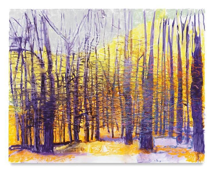 Blue Trees, 2016, Oil on canvas, 52 x 66 inches, 132.1 x 167.6 cm, AMY#28614