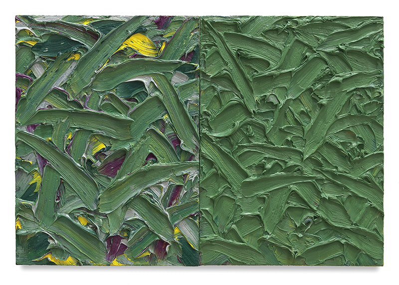 Abstract Diptych #32, 2016, Oil on canvas on wood panel, 15 x 22 inches, 38.1 x 55.9 cm, MMG#30166